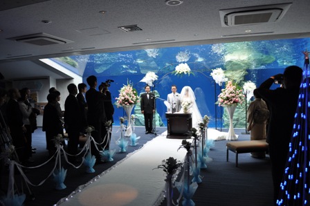 ペンギン達も泳いでお祝いに花を添えています☆